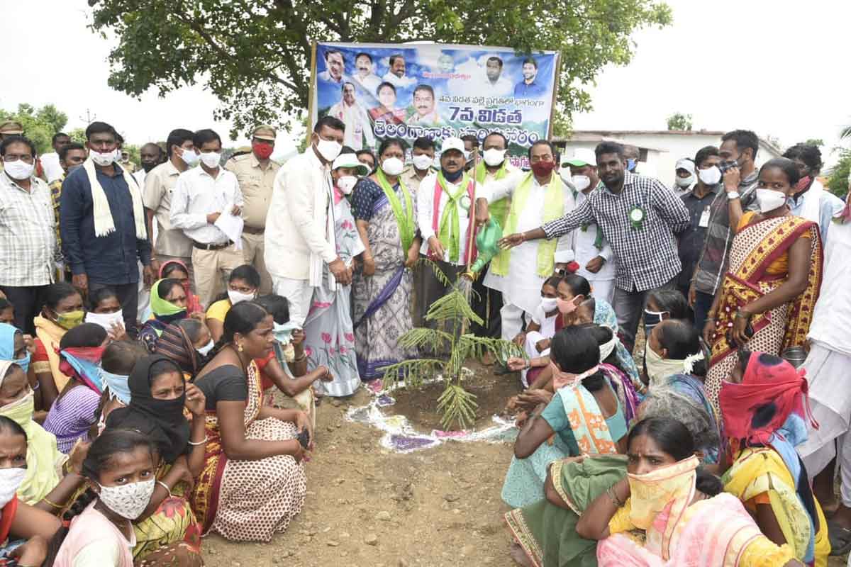 భావితరాల బాగుకే హరితహారం