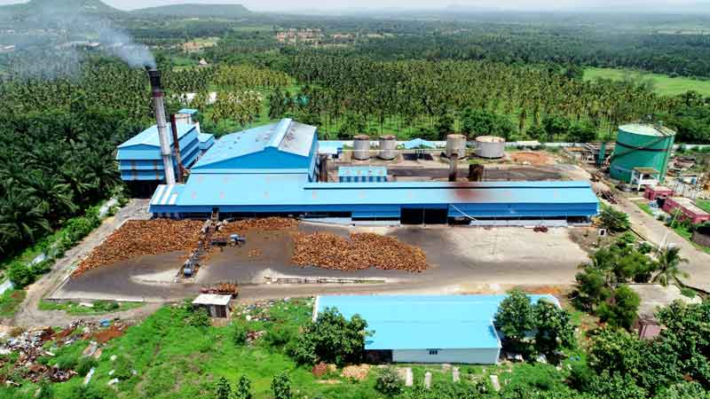 పామాయిల్‌ సాగుకు ఊతం