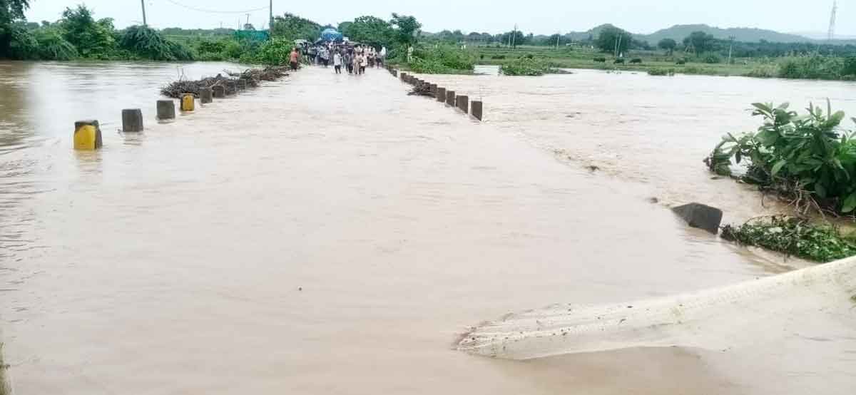 జోరువాన