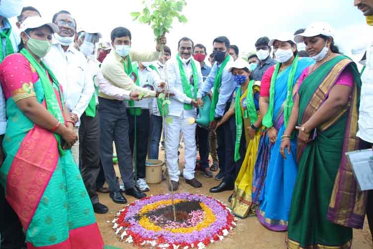 భద్రాద్రిని హరిత జిల్లాగా చేద్దాం