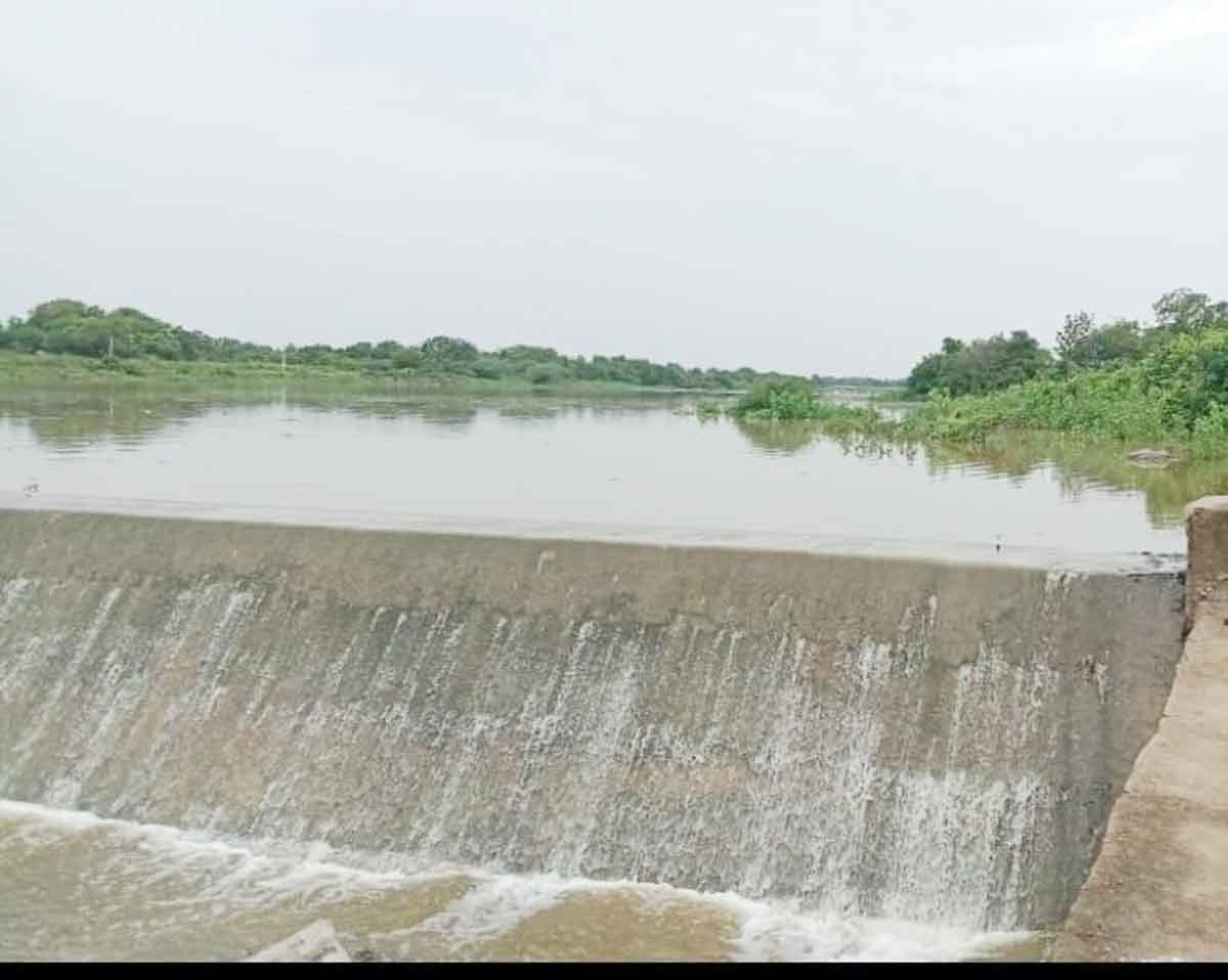 సాగునీరు పుష్కలం