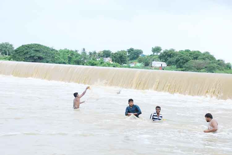 వదలని వాన