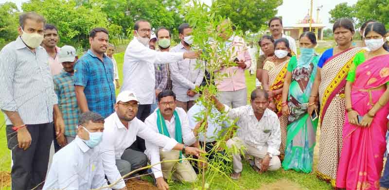 గ్రీన్‌చాలెంజ్‌ను విజయవంతం చేద్దాం