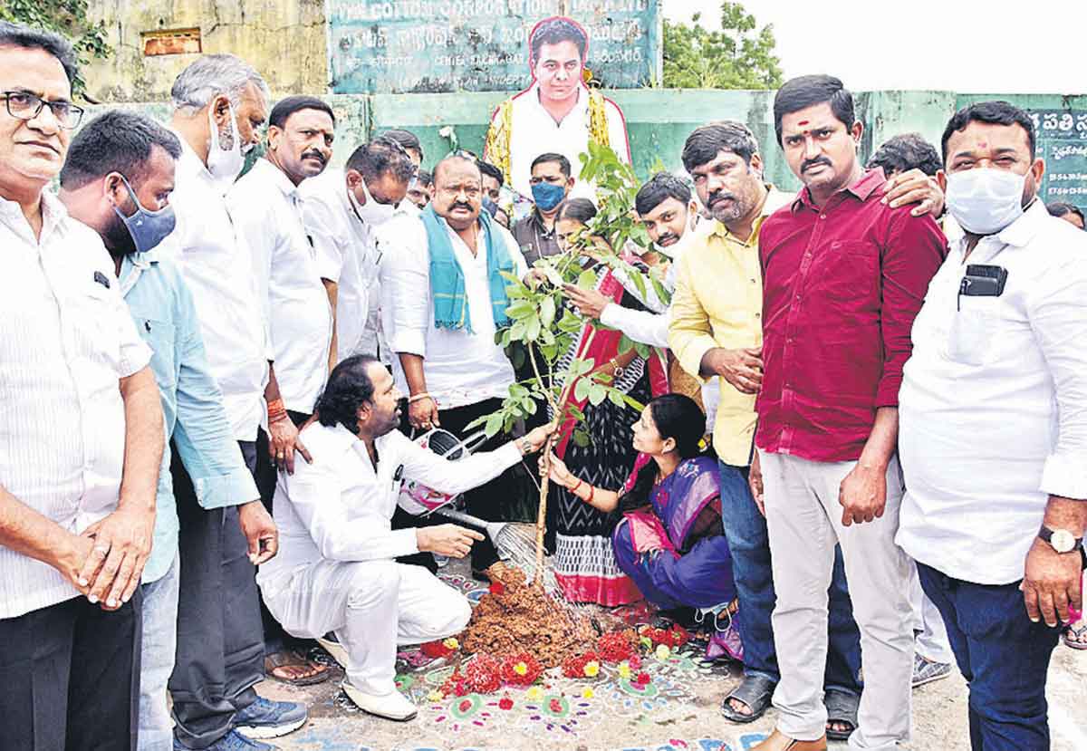 తారకరాముడికి హరితభిషేకం