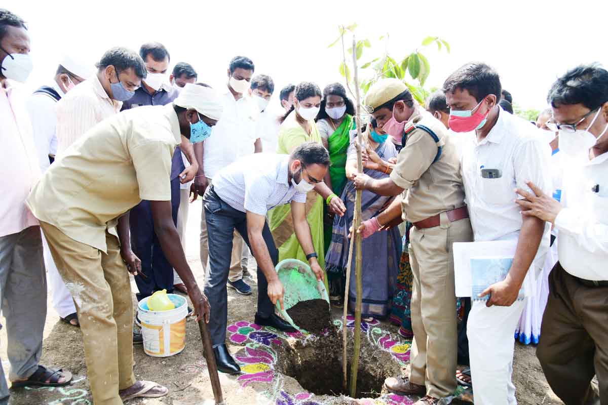పల్లె.. పట్టణం ‘ప్రగతి’ సందడి