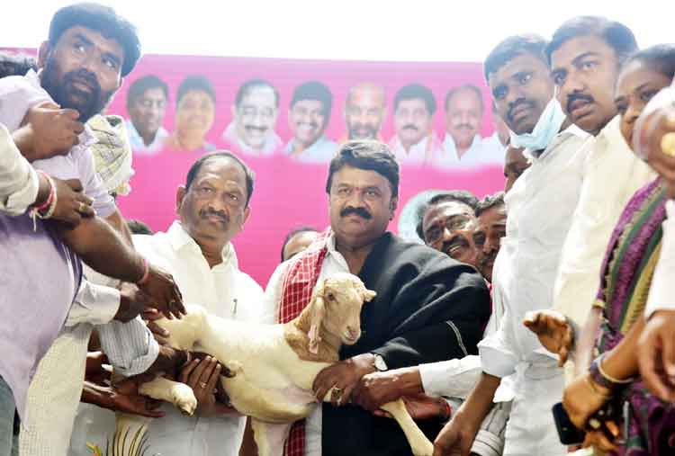 సీఎం కేసీఆర్‌తోనే గొల్ల కుర్మలకు స్వాతంత్య్రం