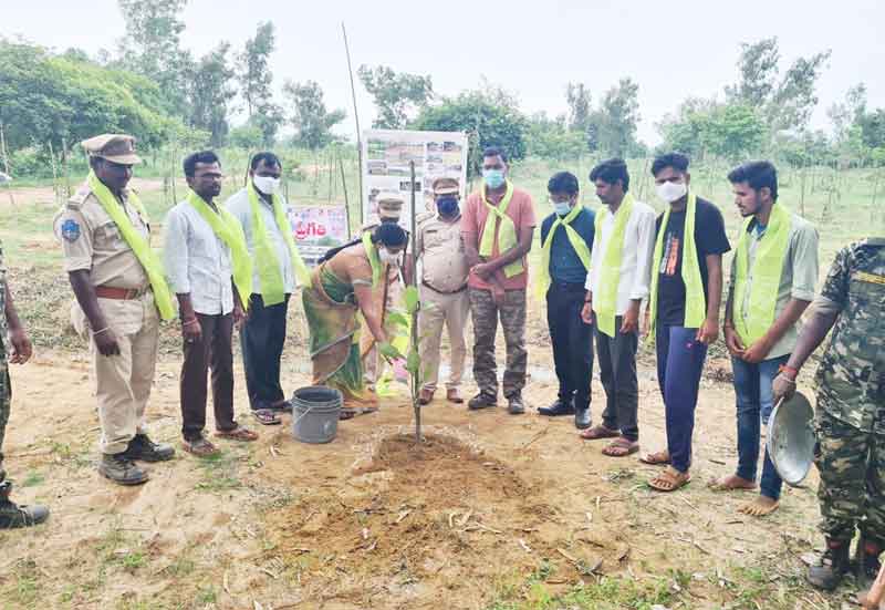 మొక్కలునాటి… అభిమానాన్ని చాటి