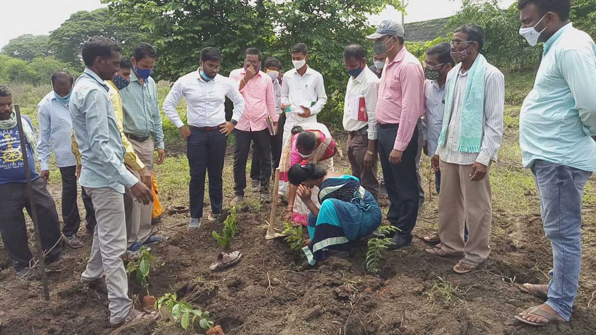 మొక్కలను సంరక్షించాలి