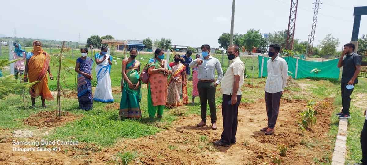 ‘పల్లె ప్రగతి’పై నిర్లక్ష్యం వద్దు