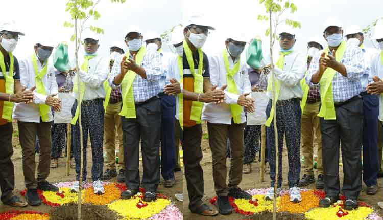మొక్కల సంరక్షణ అందరి బాధ్యత