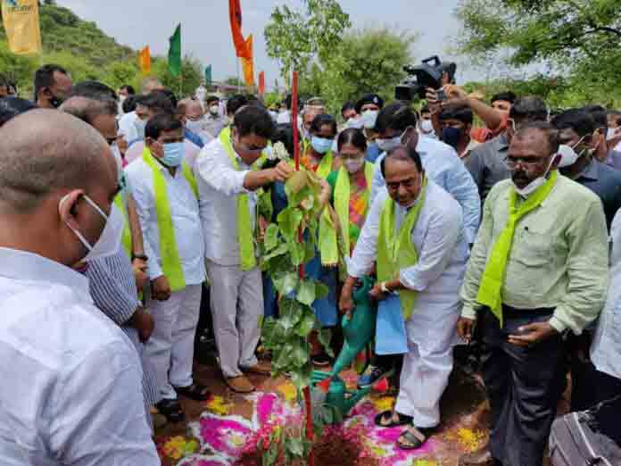 హరితహారాన్ని మించిన మరో గొప్ప కార్యక్రమం లేదు : కేటీఆర్‌