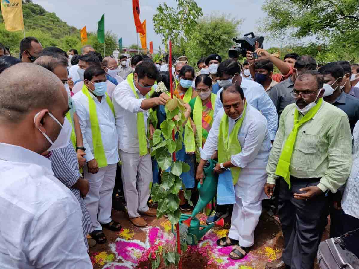 ఏడో విడత హరితహారం ప్రారంభించిన కేటీఆర్‌