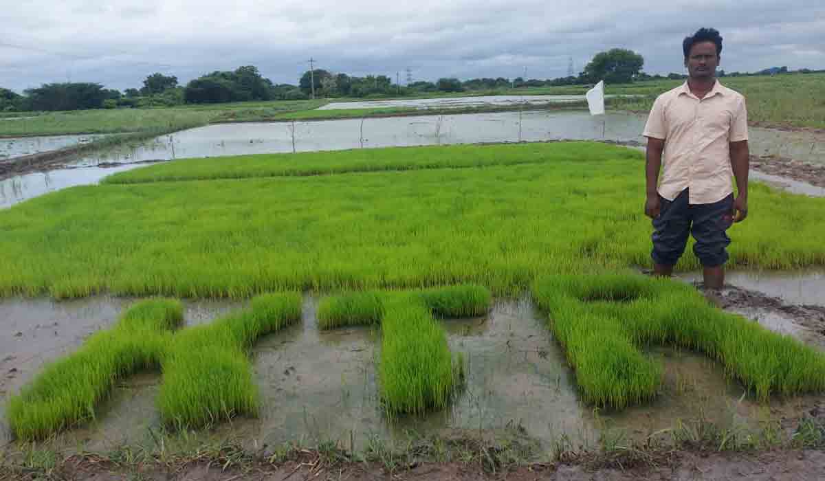 యువ రైతుకు థ్యాంక్స్ చెప్పిన కేటీఆర్.. ఎందుకంటే?