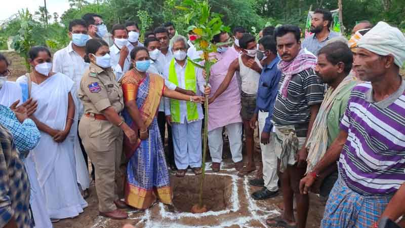 గీత కార్మికుల ఆర్థికాభివృద్ధికి తోడ్పాటు