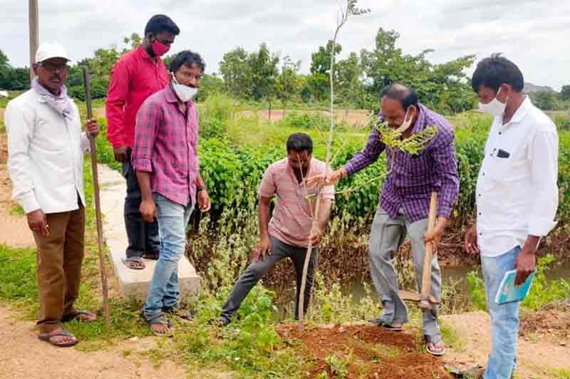 మొకల సంరక్షణ అందరి బాధ్యత