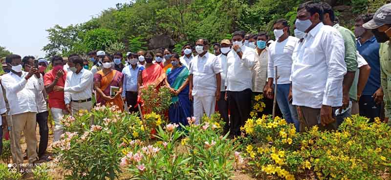 పల్లె ప్రగతితో ఆరోగ్యకర వాతావరణం