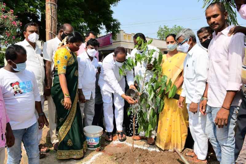 నాటిన మొక్కలను సంరక్షిద్దాం