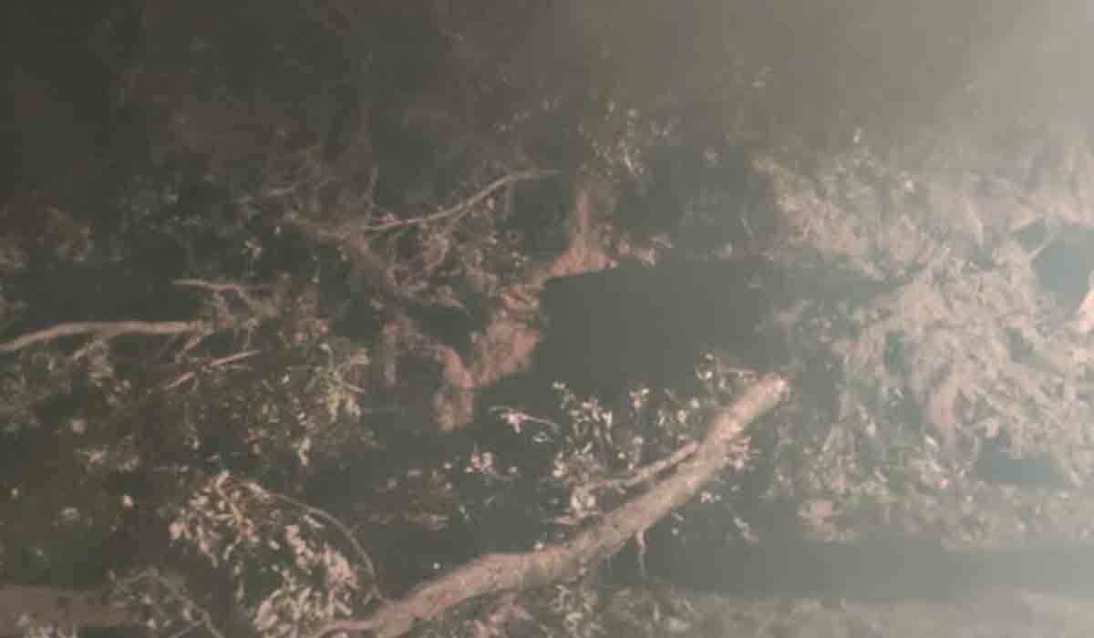 రాయగఢ్‌లో విరిగిపడిన కొండచరియలు.. 30 మంది గల్లంతు!