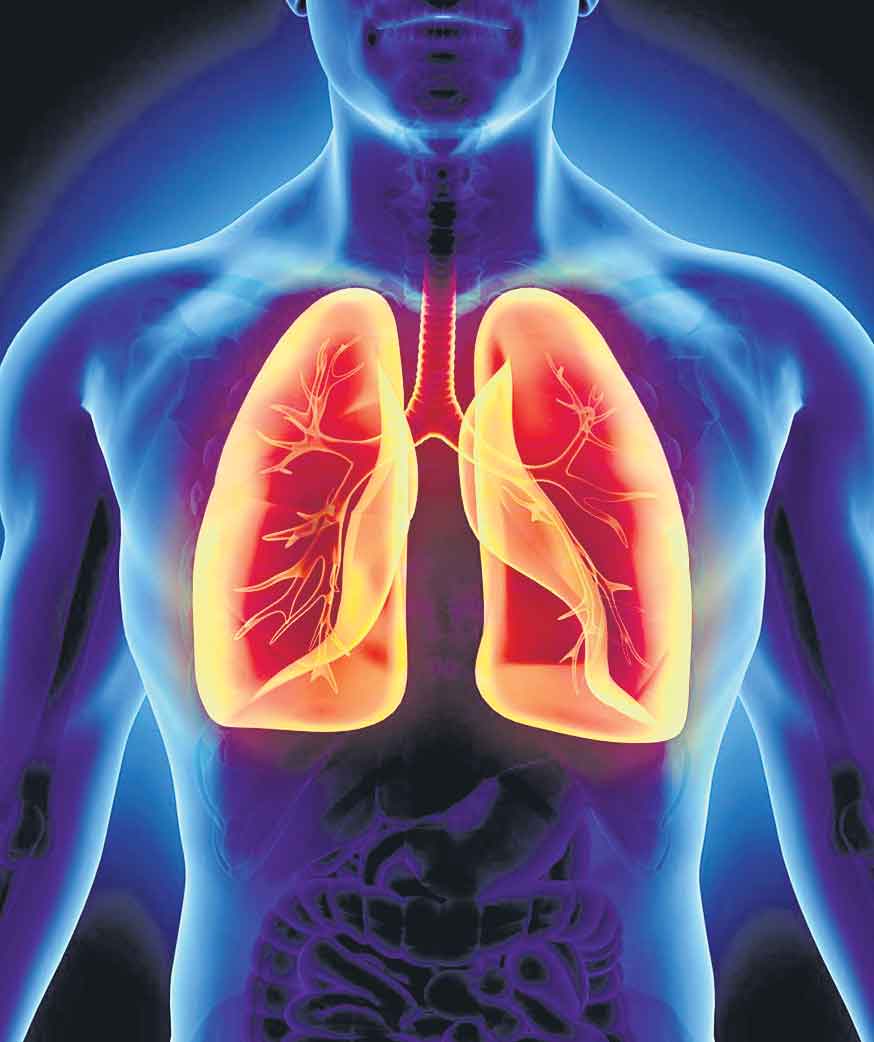 మూడునెలల్లో సాధారణ స్థితి