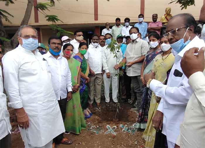 భావితరాల భవిష్యత్‌కే హరితహారం