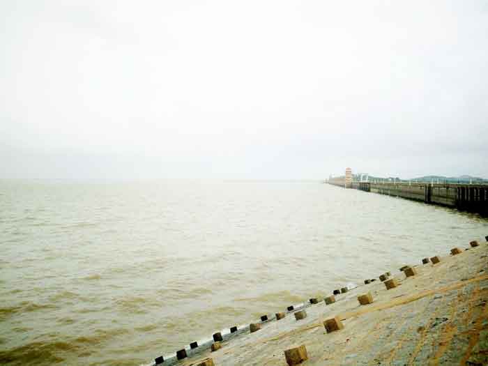 జూరాలకు వరద హోరు..