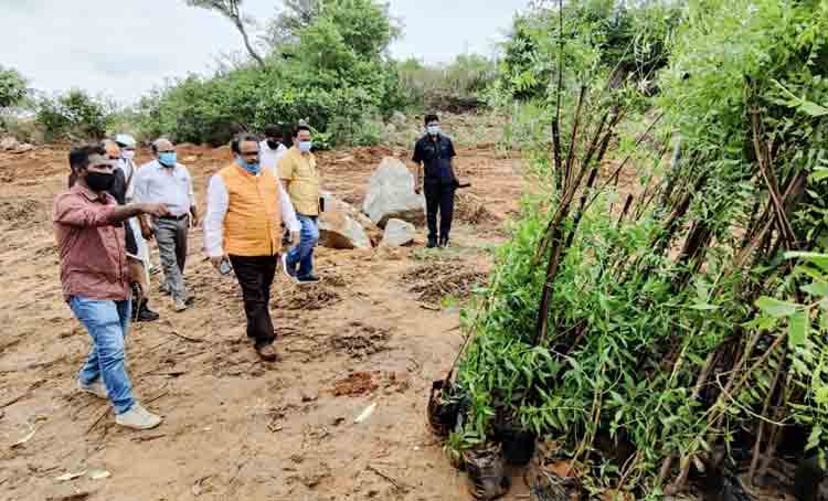 ప్రకృతి వనాలను సుందరంగా తీర్చిదిద్దాలి