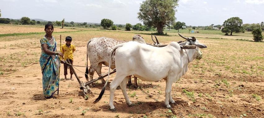 అన్నీ తానై..