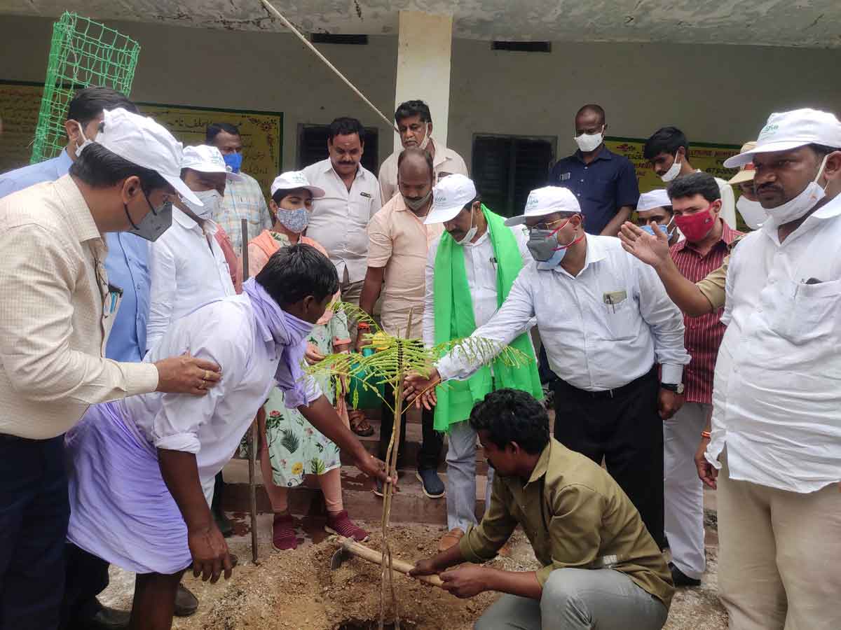 పరిశుభ్రతతో రోగాలు దూరం