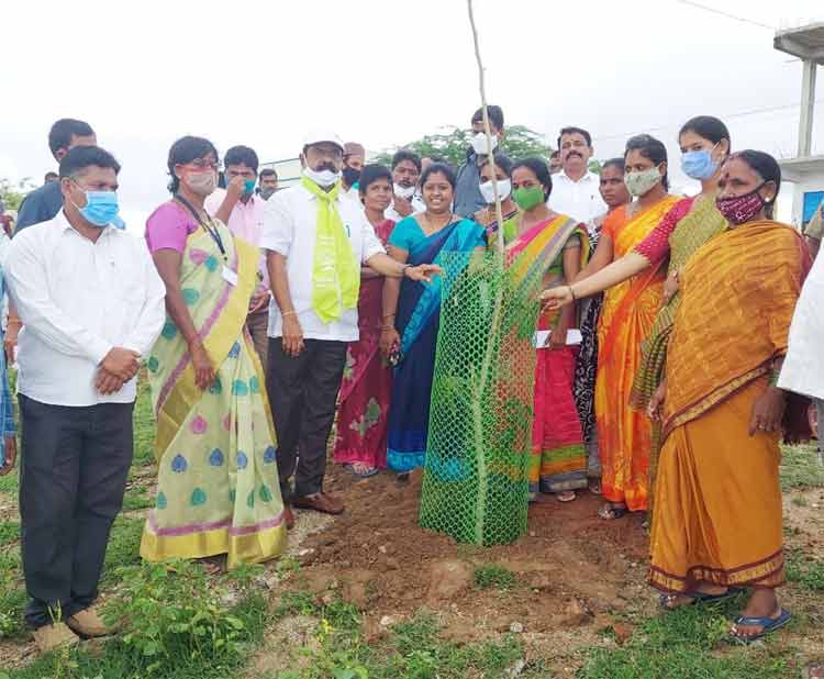 ప్రతి మొక్కనూ కాపాడాలి