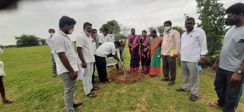మొక్కల సంరక్షణ అందరి బాధ్యత