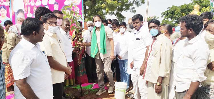 ఉద్యమంలా పల్లెప్రగతి, హరితహారం