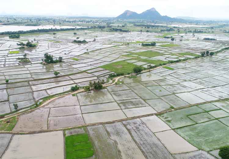 సజీవ జలపాతాలు