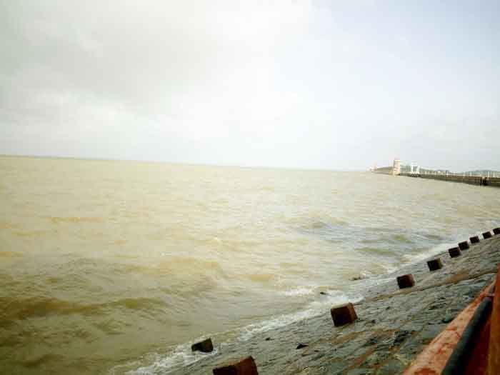 ప్రాజెక్టులకు జలకళ