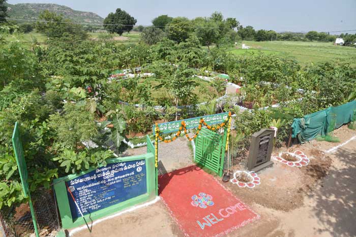 పచ్చనిపల్లె.. దమ్మాయపల్లి