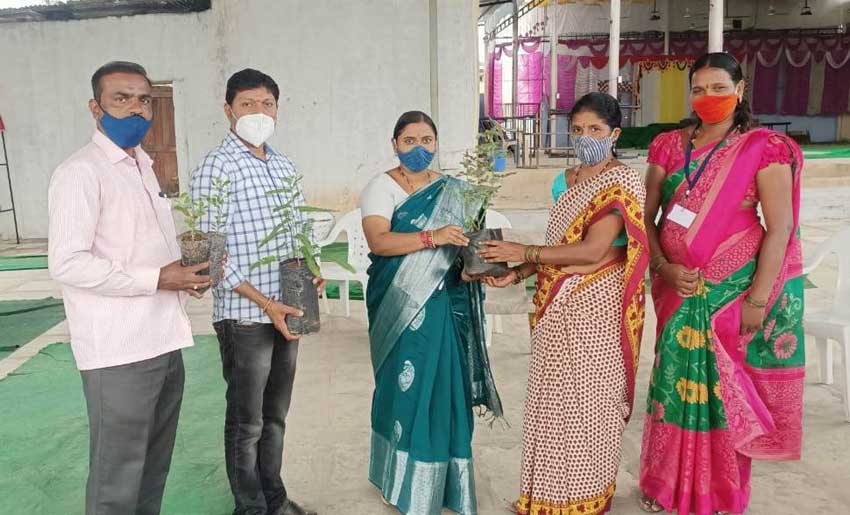 ముమ్మరంగా పల్లెప్రగతి, హరితహారం