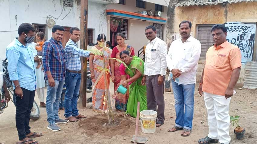 మొక్కల పరిరక్షణకు కృషి చేయాలి