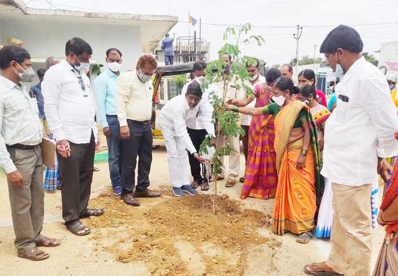 కొనసాగుతున్న పల్లెప్రగతి, హరితహారం