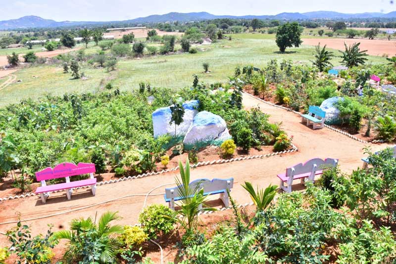 గుట్టను తొలిచి.. వనంగా మలిచి