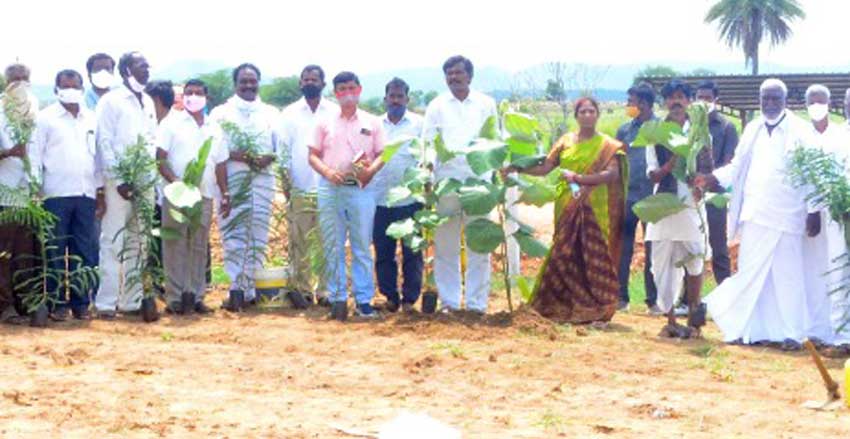 పచ్చదనానికి కేరాఫ్ తెలంగాణ