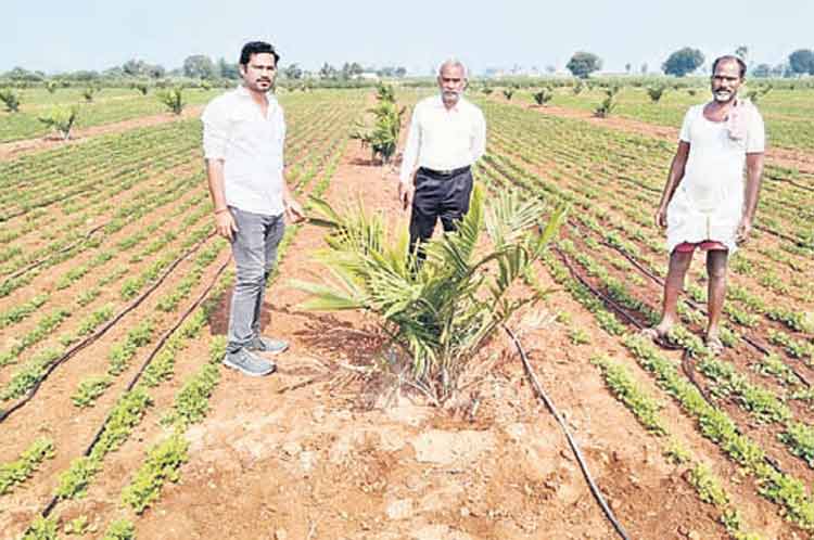 పెట్టుబడి తక్కువ..లాభాలు ఎక్కువ