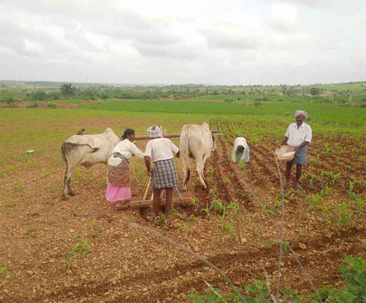 వానకాలం సేద్యం షురూ..