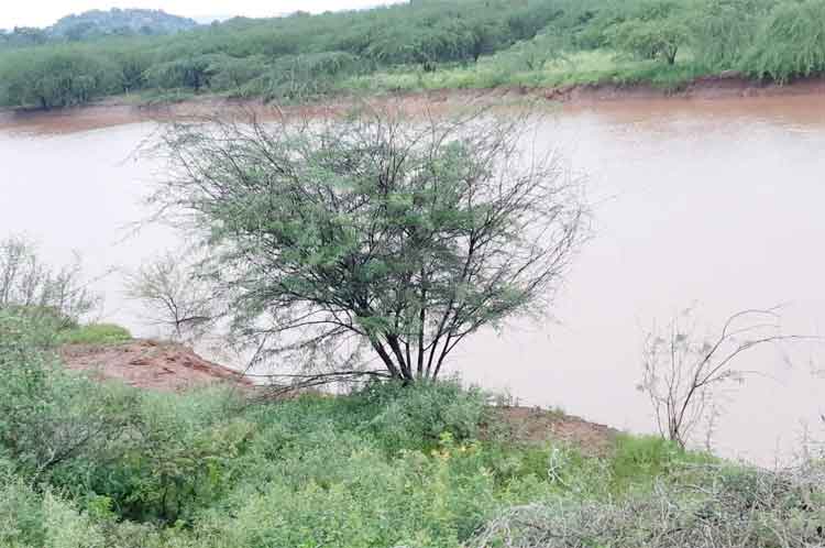 జిల్లా వ్యాప్తంగా 25.3 మి.మీ. వర్షపాతం నమోదు