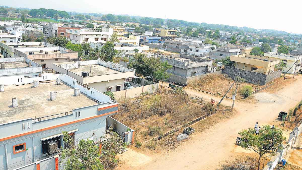 గుల్లకోట.. ప్రగతి