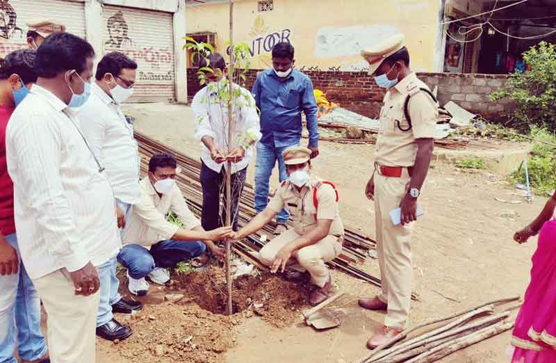 హరితహారంతో పట్టణాలకు పచ్చలహారం