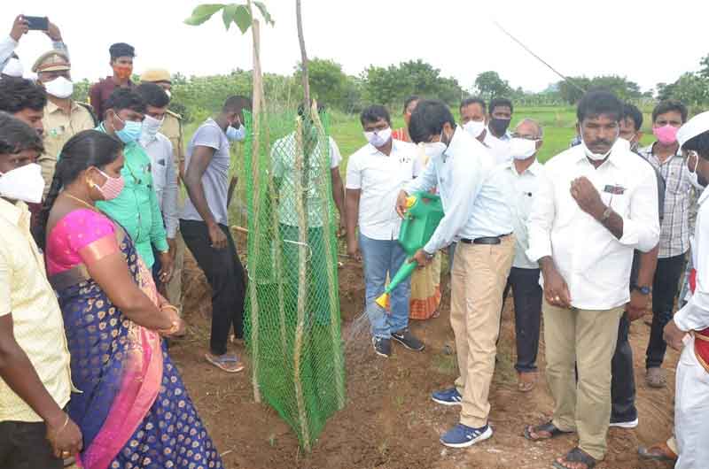 నాటిన ప్రతి మొక్కనూ రక్షించాలి