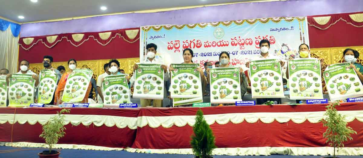 ప్రణాళికతో మొక్కలు నాటాలి