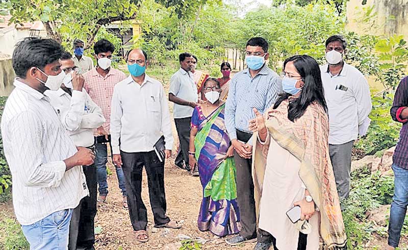 ప్రణాళికాబద్ధంగా మొక్కలు నాటాలి