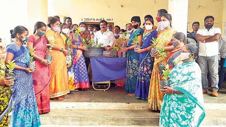 పల్లెలు స్వచ్ఛత వైపు పయనించాలి