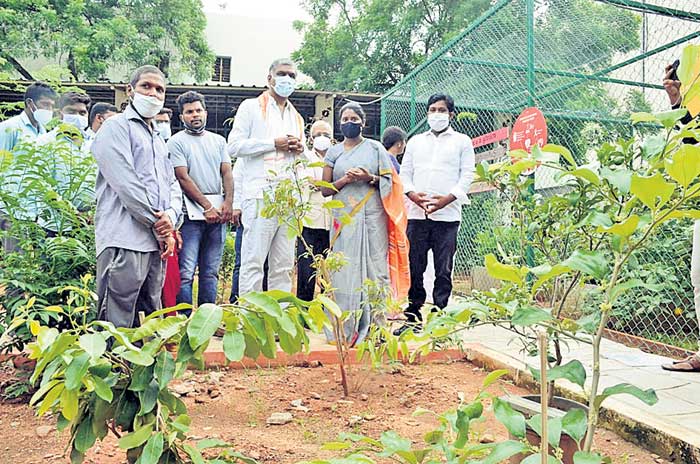 ఆరోగ్యవంతమైన సమాజాన్ని నిర్మిద్దాం