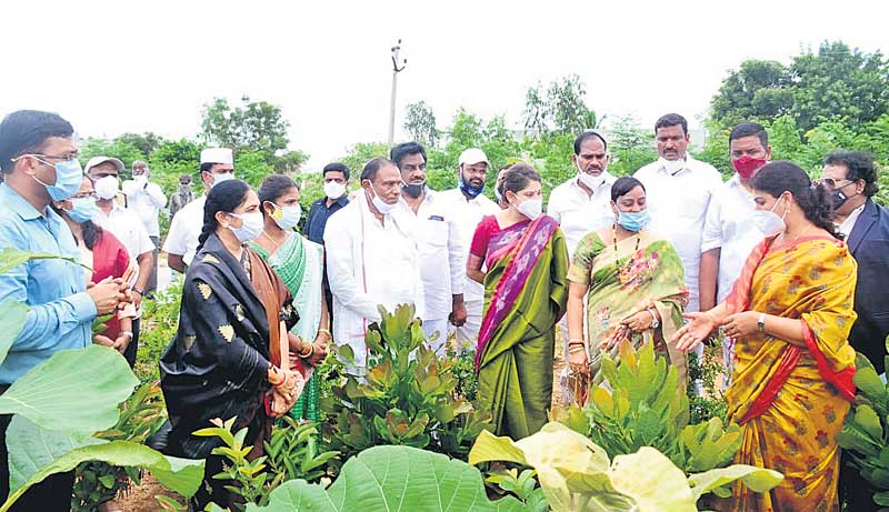 పల్లె,పట్టణ ప్రగతితో సత్పలితాలు